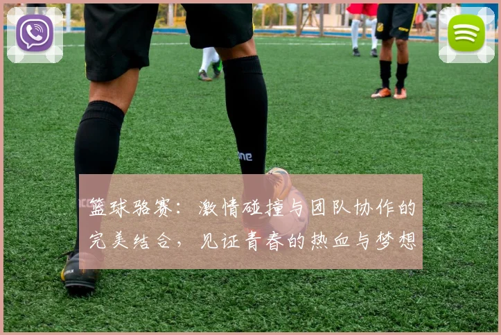 篮球骆赛：激情碰撞与团队协作的完美结合，见证青春的热血与梦想的追逐