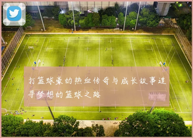打篮球豪的热血传奇与成长故事追寻梦想的篮球之路