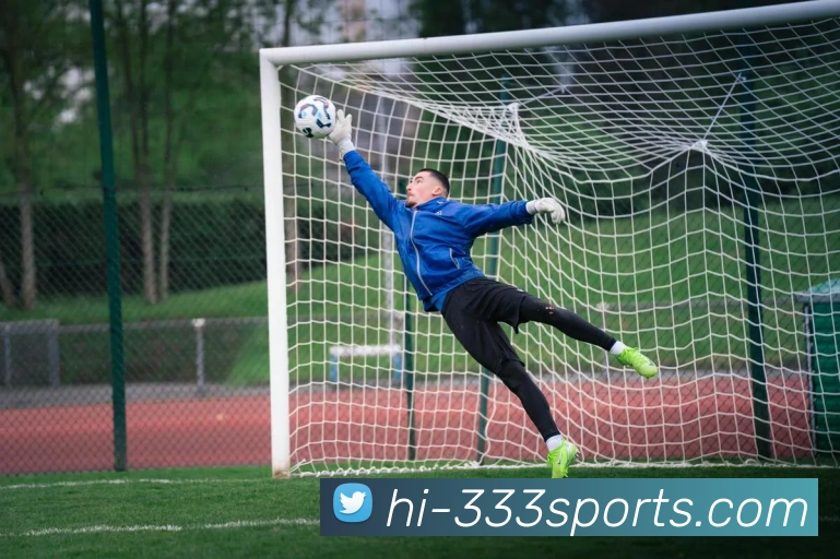 App Interface Preview